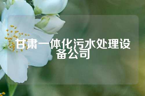 甘肃一体化污水处理设备公司