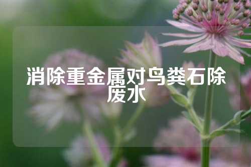 消除重金属对鸟粪石除废水