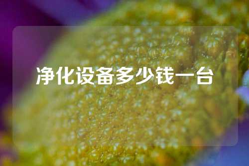 净化设备多少钱一台