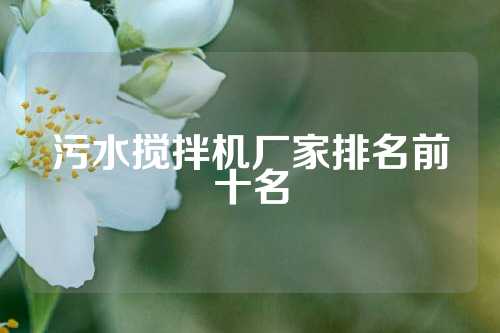 污水搅拌机厂家排名前十名
