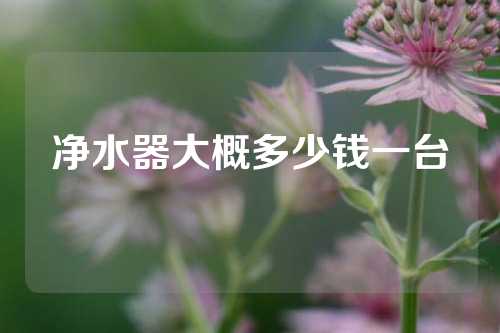 净水器大概多少钱一台