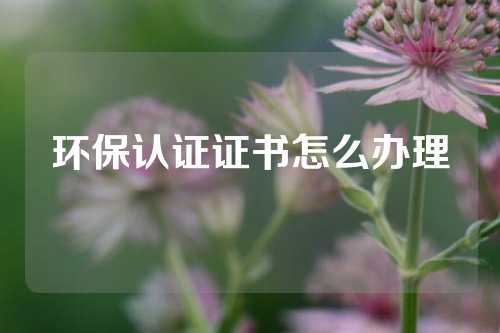 环保认证证书怎么办理