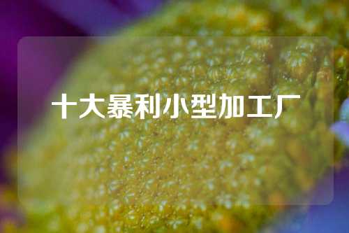 十大暴利小型加工厂