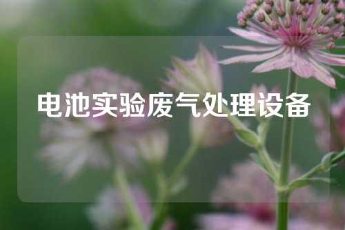 电池实验废气处理设备