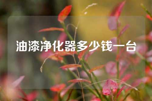 油漆净化器多少钱一台