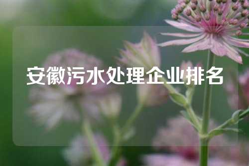 安徽污水处理企业排名