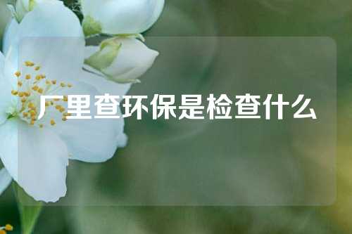 厂里查环保是检查什么