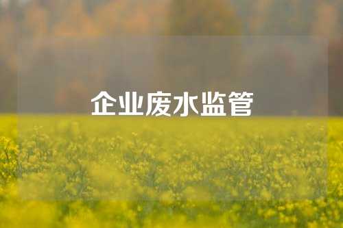 企业废水监管