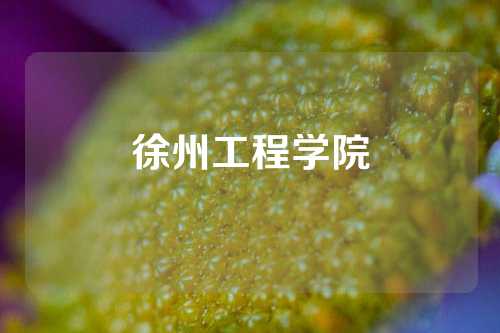 徐州工程学院