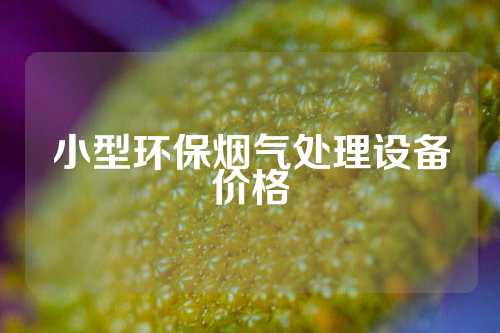 小型环保烟气处理设备价格
