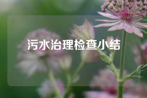 污水治理检查小结