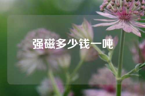 强磁多少钱一吨