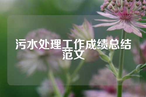 污水处理工作成绩总结范文