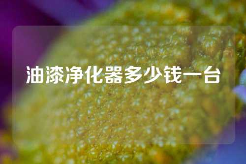 油漆净化器多少钱一台