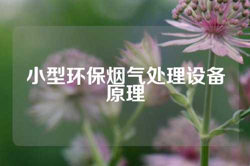 小型环保烟气处理设备原理