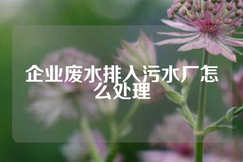 企业废水排入污水厂怎么处理