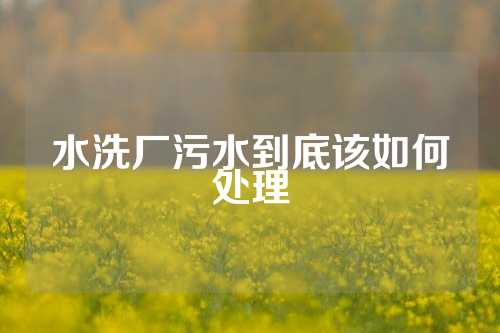 水洗厂污水到底该如何处理