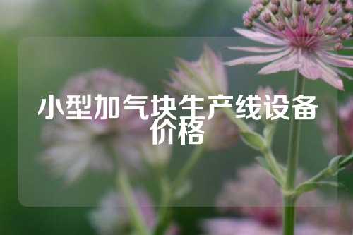 小型加气块生产线设备价格