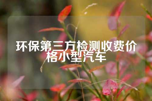 环保第三方检测收费价格小型汽车