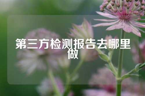 第三方检测报告去哪里做