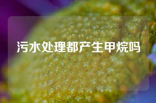 污水处理都产生甲烷吗