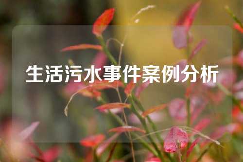 生活污水事件案例分析
