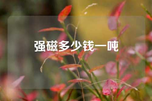 强磁多少钱一吨