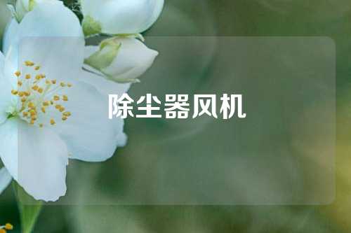 除尘器风机