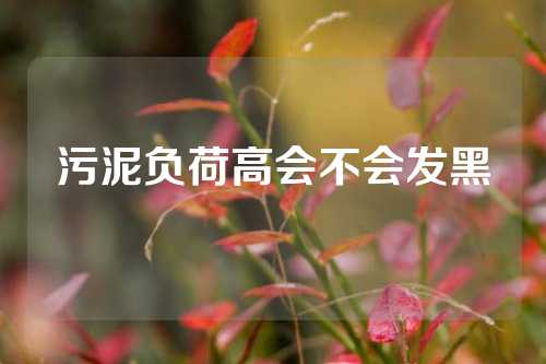 污泥负荷高会不会发黑