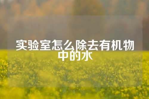 实验室怎么除去有机物中的水