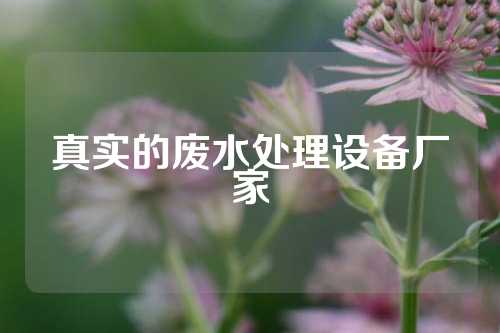 真实的废水处理设备厂家