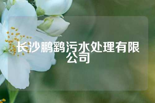 长沙鹏鹞污水处理有限公司