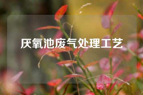 厌氧池废气处理工艺
