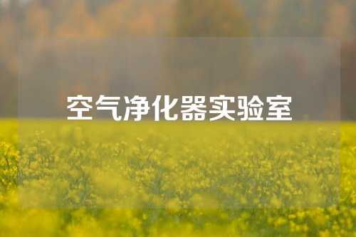 空气净化器实验室