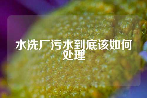 水洗厂污水到底该如何处理