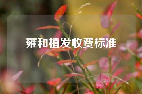 雍和植发收费标准