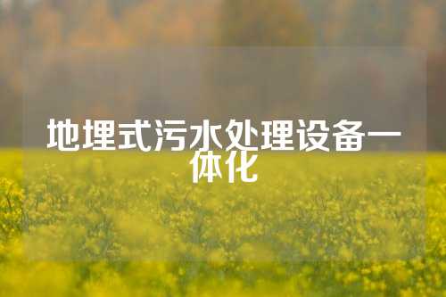 地埋式污水处理设备一体化