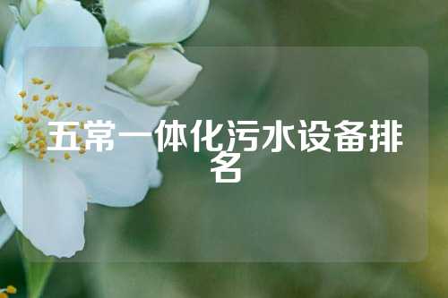 五常一体化污水设备排名