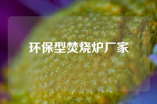 环保型焚烧炉厂家
