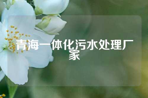青海一体化污水处理厂家