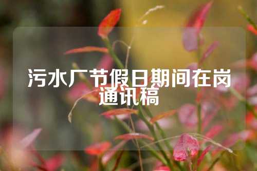 污水厂节假日期间在岗通讯稿