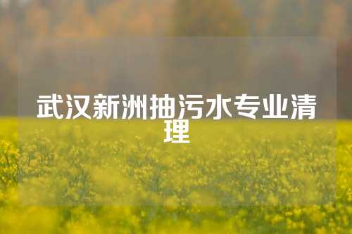 武汉新洲抽污水专业清理