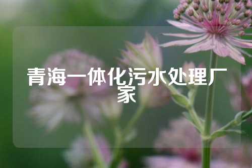 青海一体化污水处理厂家