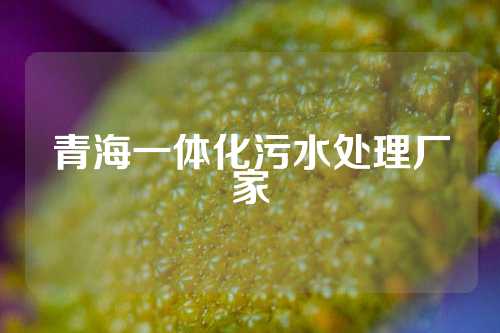 青海一体化污水处理厂家