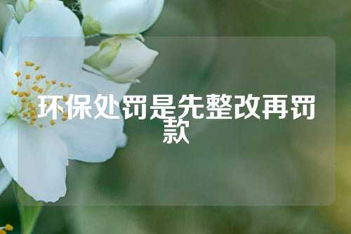 环保处罚是先整改再罚款