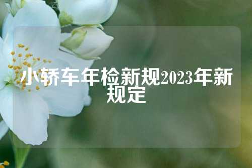 小轿车年检新规2023年新规定