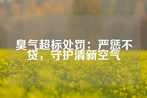 臭气超标处罚：严惩不贷，守护清新空气