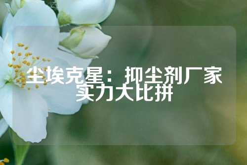 尘埃克星：抑尘剂厂家实力大比拼