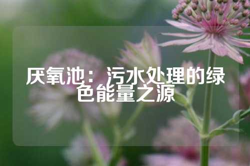 厌氧池：污水处理的绿色能量之源