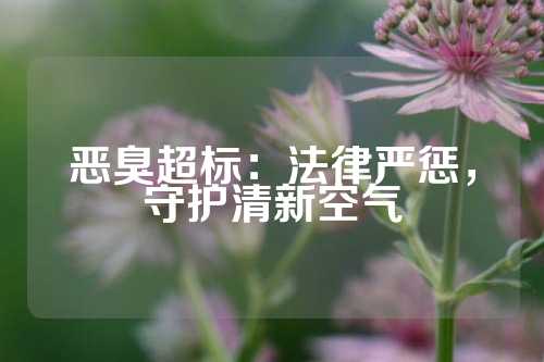 恶臭超标：法律严惩，守护清新空气